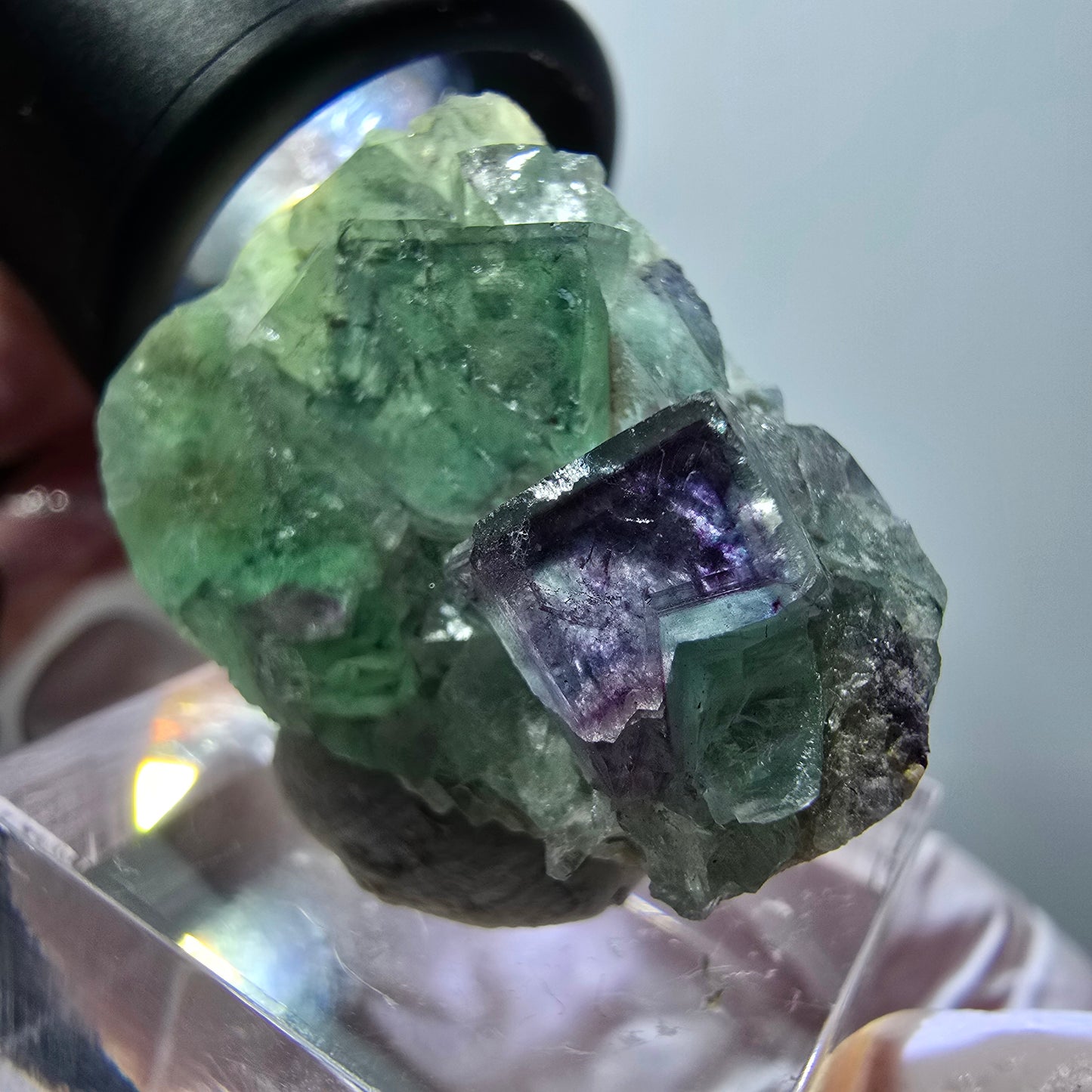 Rare spécimen cubique de fluorite fantôme, vert-violet, Okorusu, Namibie, 32*23*14 mm #11826