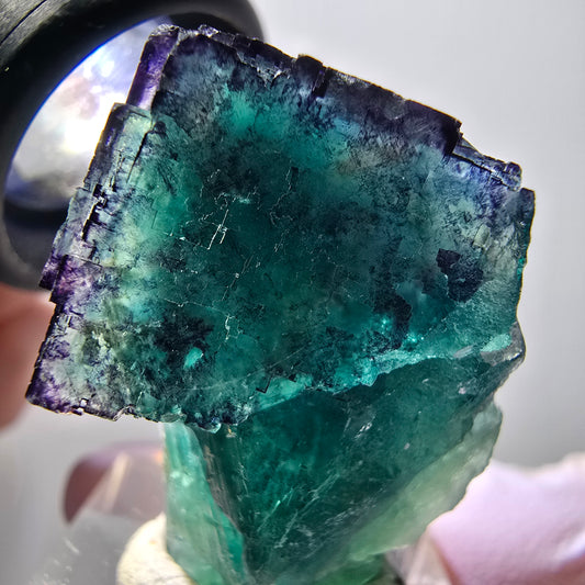 Seltene Phantom Fluorit Würfel Stufe, grün lila 11:11 Angel Pocket, Namibia 32*31*22mm #11842