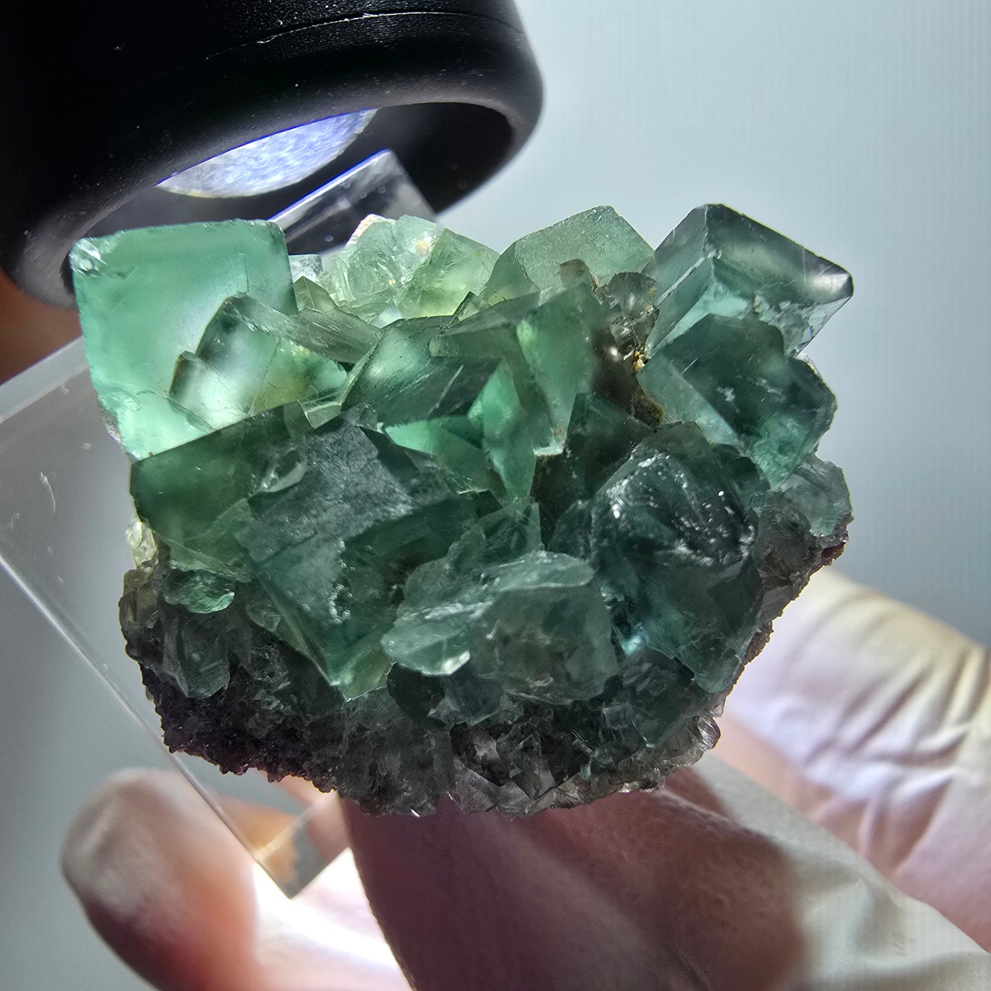 Rare spécimen de cube de fluorite fantôme, vert-violet, Okorusu, Namibie, 32*26*20mm #11850