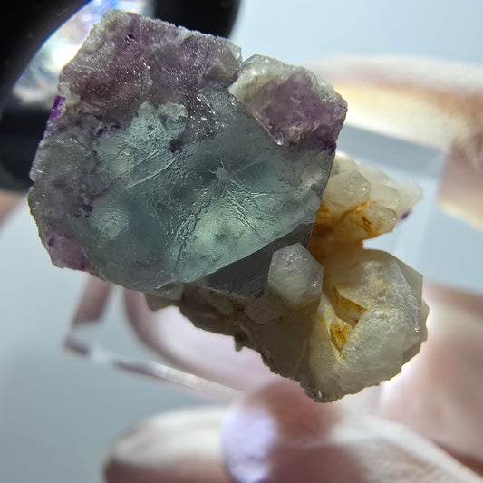 Seltene Phantom Fluorit Würfel, Quarz Stufe Brandberg, Namibia 26*23*14mm #11863