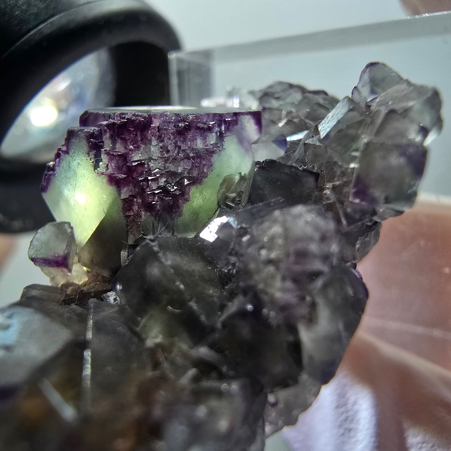 Rare spécimen de cube de fluorite fantôme, vert-violet, Okorusu, Namibie, 43*22*15 mm #11899