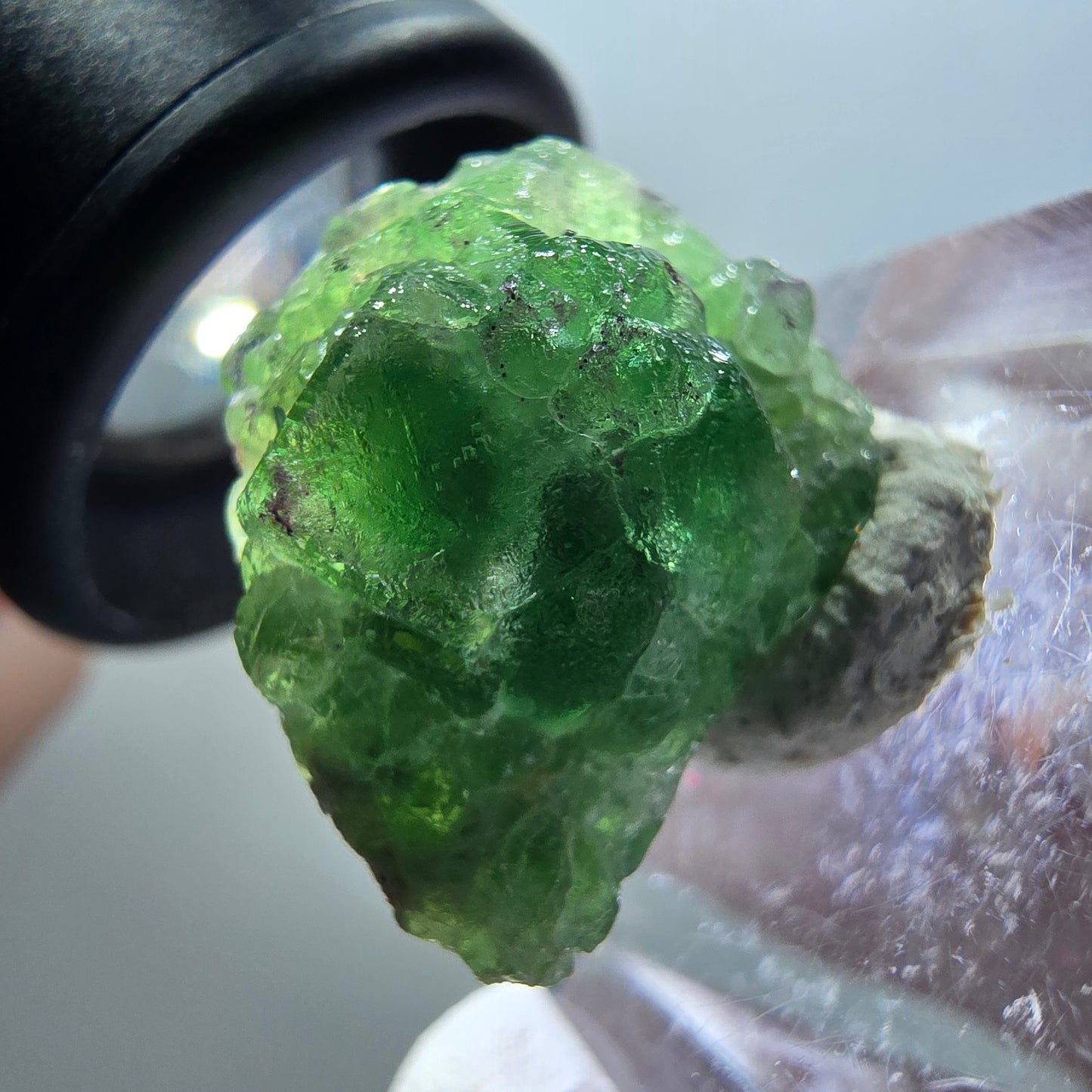 Fluorite fantôme, Tourmaline Schörl, Stade muscovite Erongo, Namibie 23*18*10mm #11925