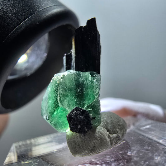 Phantom Fluorit, Schörl Turmalin Stufe Erongo, Namibia 18*13*9mm #11927