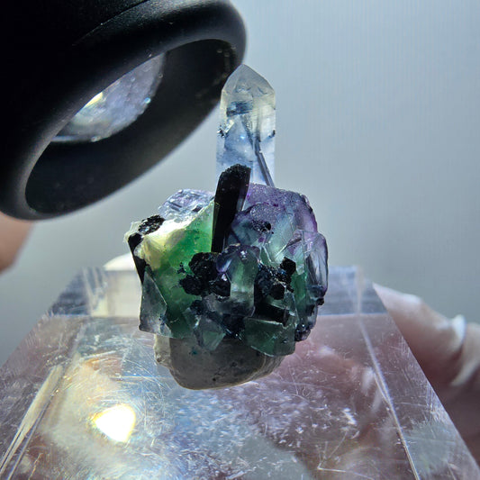 Phantom Fluorit, Schörl Turmalin, Rauchquarz, Muskovit, Hyalit Erongo, Namibia 20*17*12mm #11935