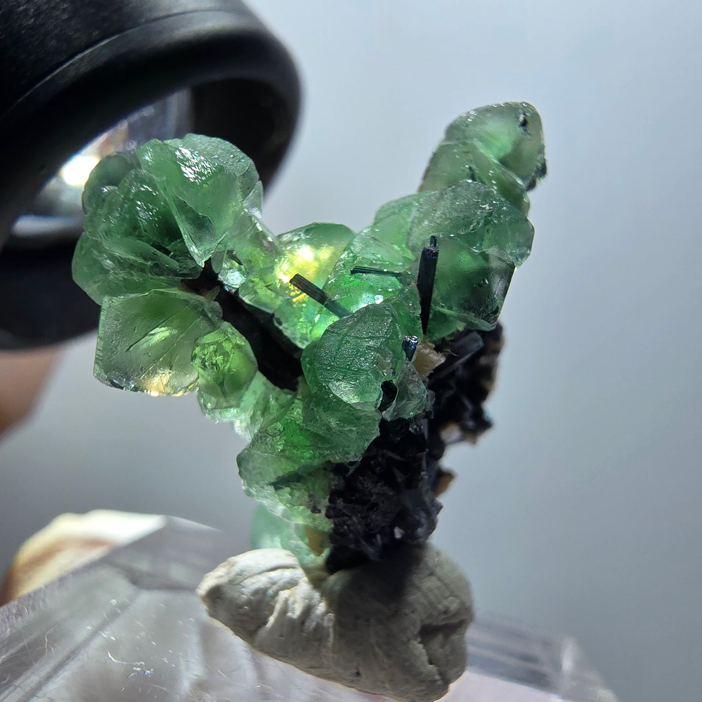 Fluorite fantôme, tourmaline Schörl, muscovite Stage Erongo, Namibie 29*23*16mm #11937