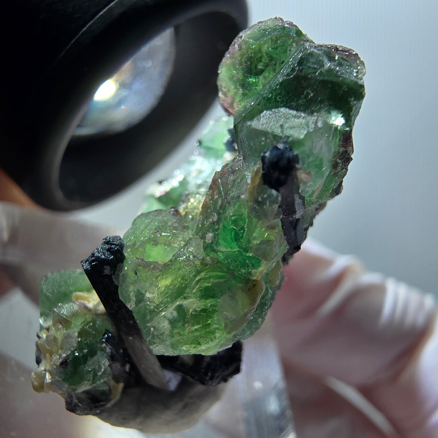 Fluorite fantôme, tourmaline Schörl, muscovite Stage Erongo, Namibie 30*18*14mm #11938