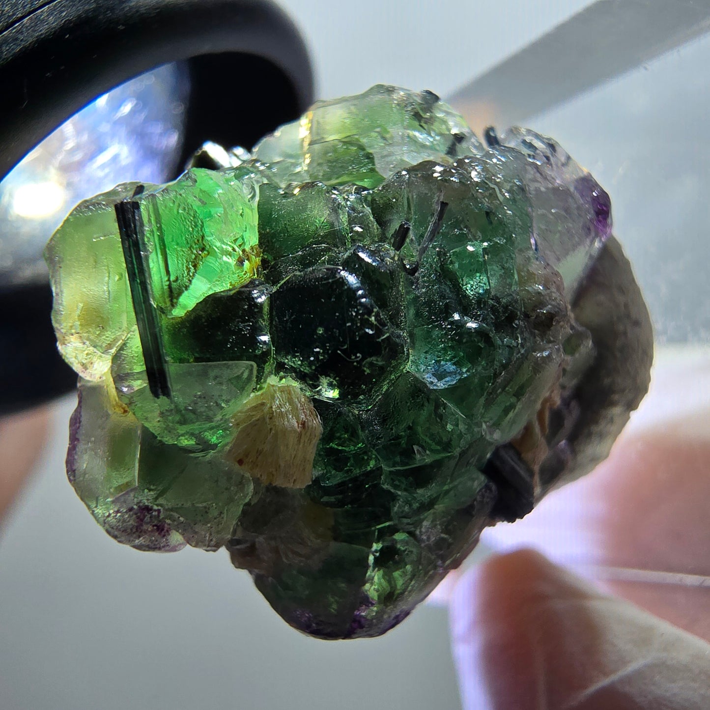 Fluorite fantôme, Tourmaline Schörl, Stade muscovite Erongo, Namibie 24*21*18mm #11949
