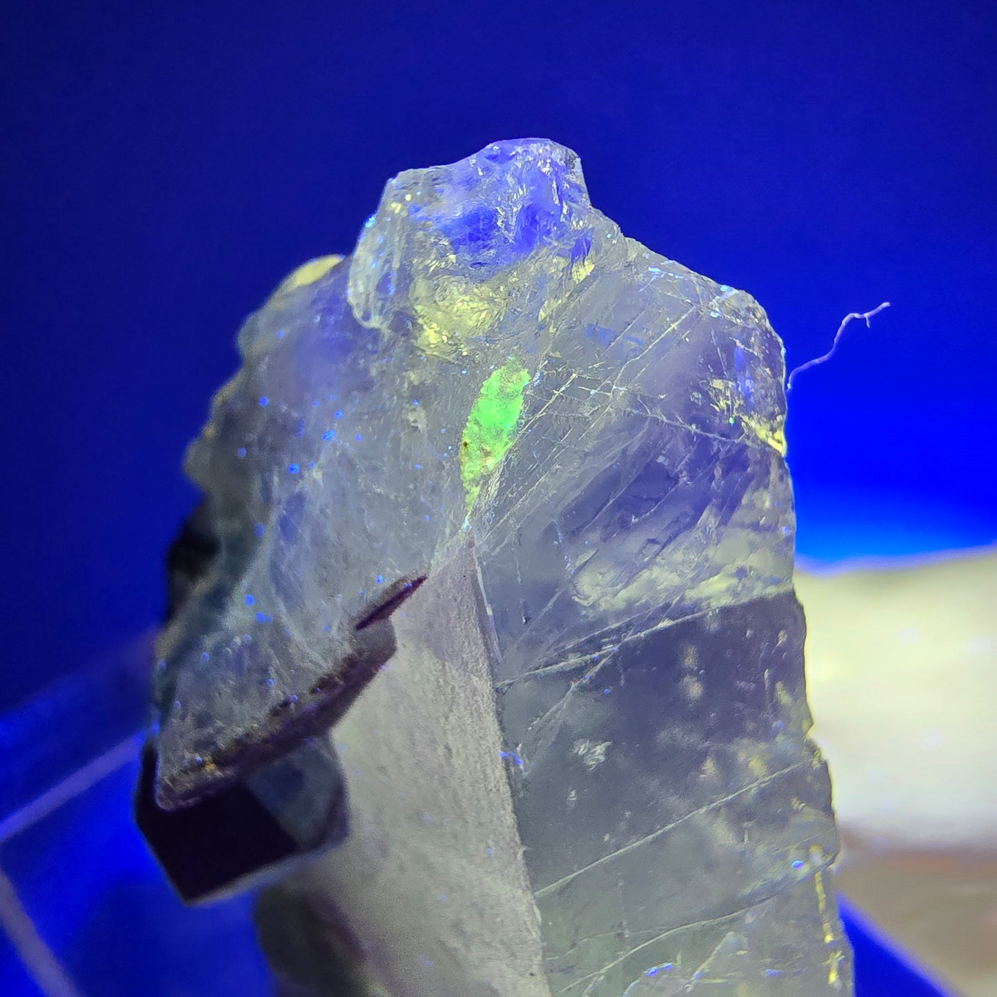 Fluorite fantôme transparente, hyalite, tourmaline Schörl Stage Erongo, Namibie 34*25*14mm #11961