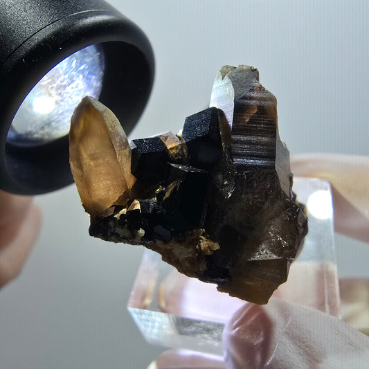 Seltene Rauchquarz, Schörl Turmalin Stufe Erongo, Namibia 39*26*21mm #11972