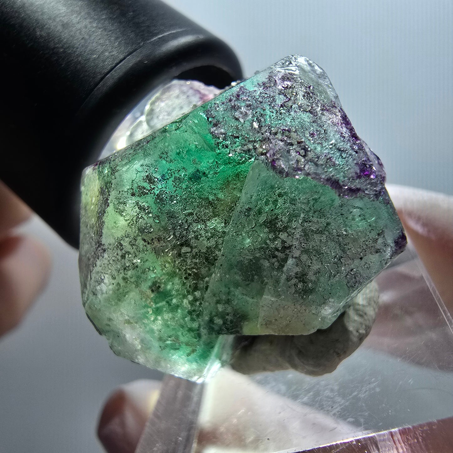 Fluorite fantôme, Tourmaline Schörl, Stade muscovite Erongo, Namibie 30*26*23mm #11984