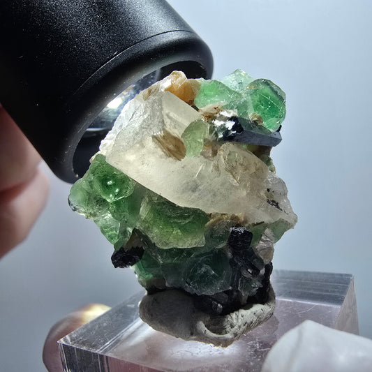 Phantom Fluorit, Schörl Turmalin, Rauchquarz, Muskovit, Hyalit Erongo, Namibia 33*26*19mm #11999