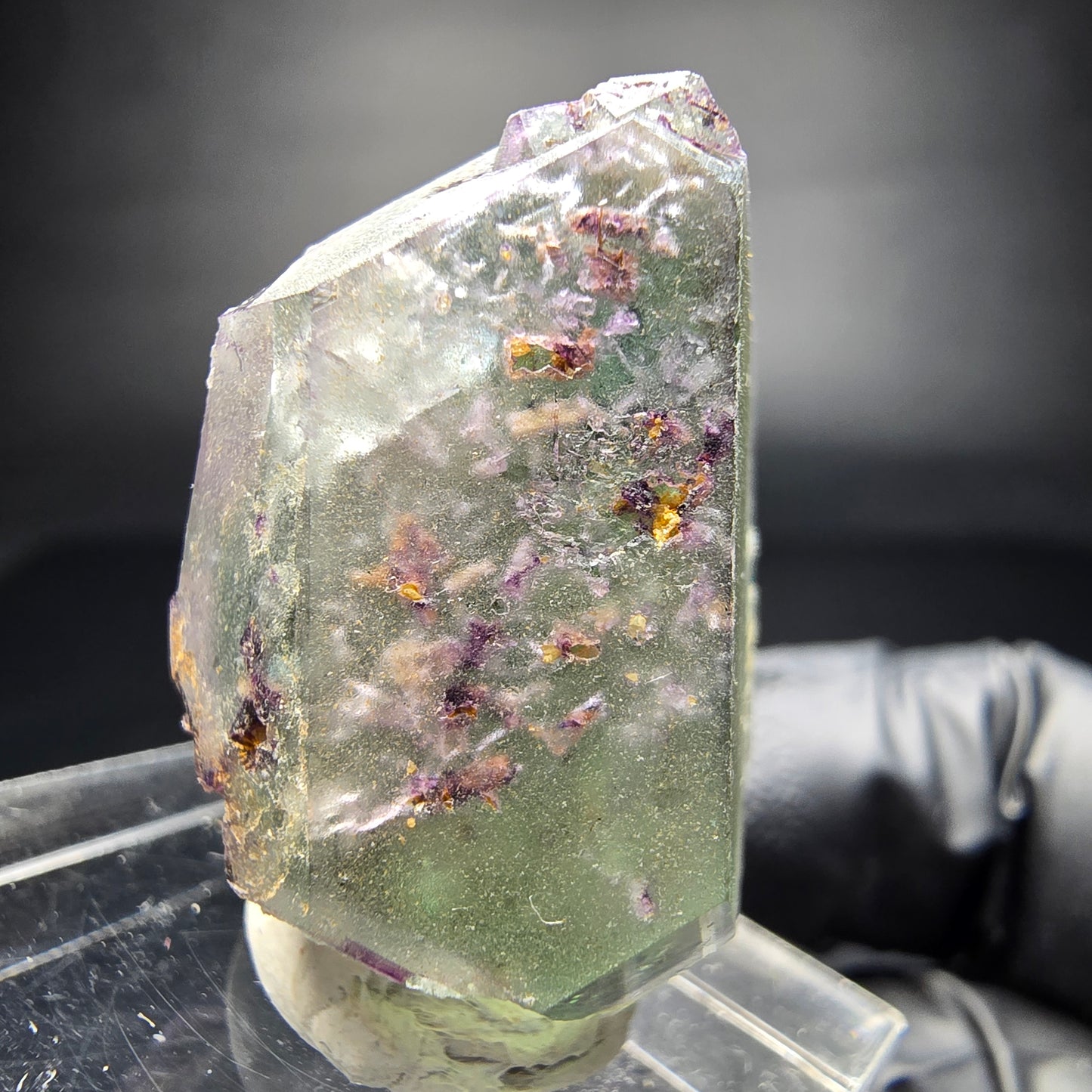 Zonar Phantom Fluorite Cube Tier Vert Violet Erongo Namibie 29*20*17mm