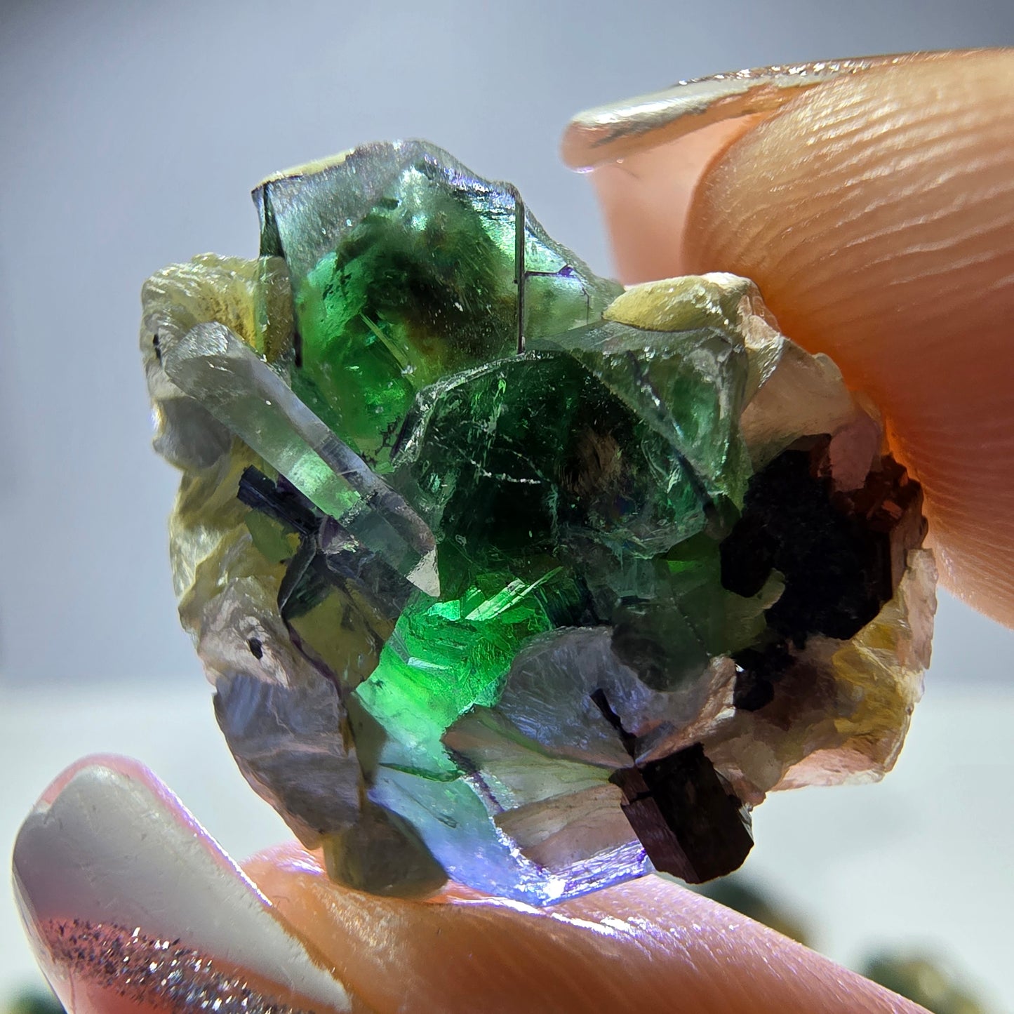 Lot de 16 fluorites fantômes, hyalites, tourmalines Schörl, muscovites, marches d'Erongo, Namibie