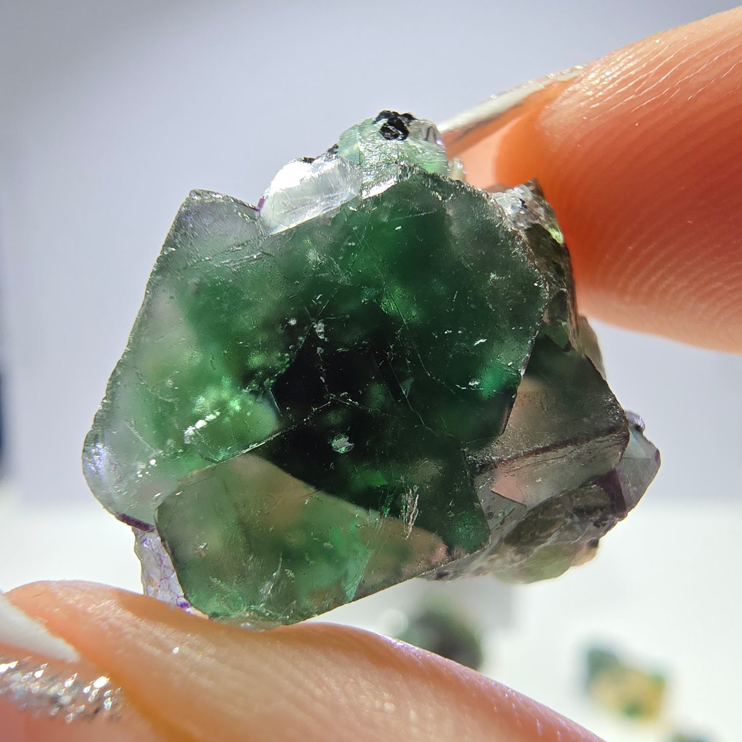 Lot de 16 tourmalines Schörl, fluorite fantôme, hyalite, stade muscovite, Erongo, Namibie