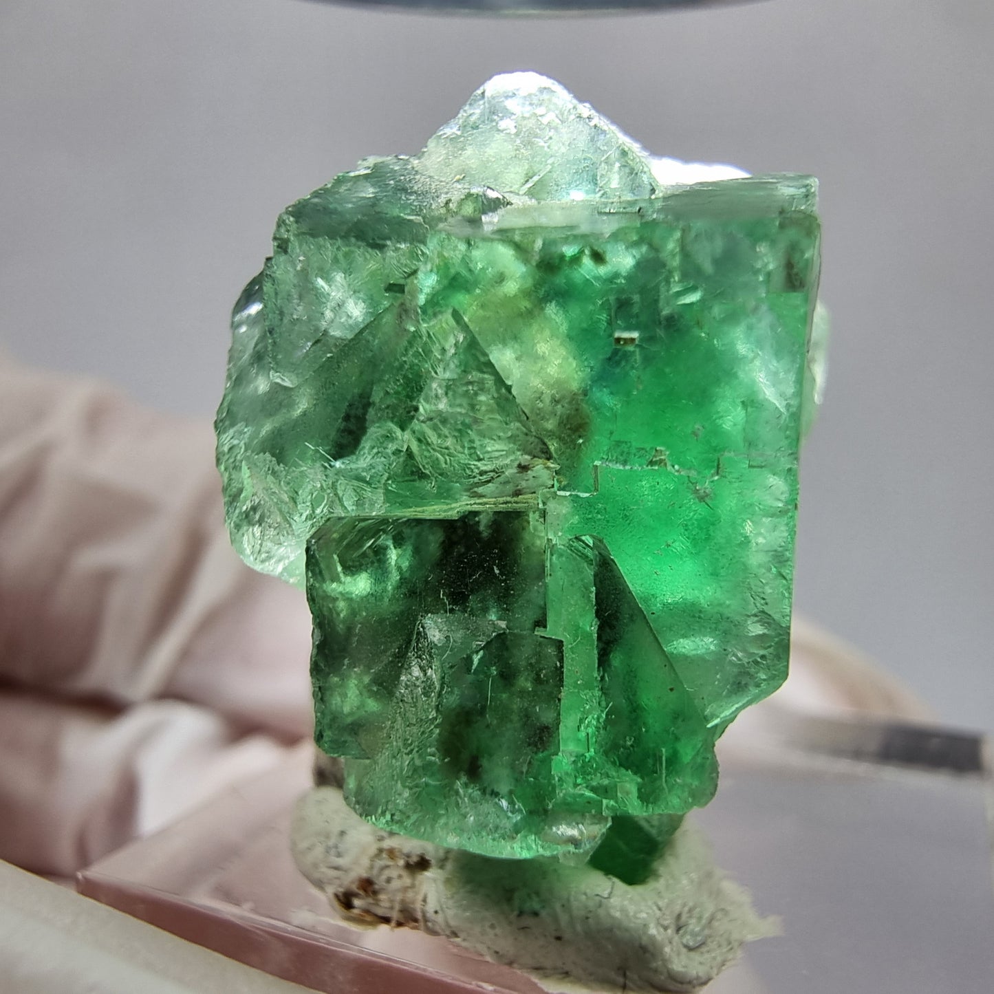Seltene Fluorit Würfel Stufe grün lila 24*19*17mm Okorusu Namibia Sammlung