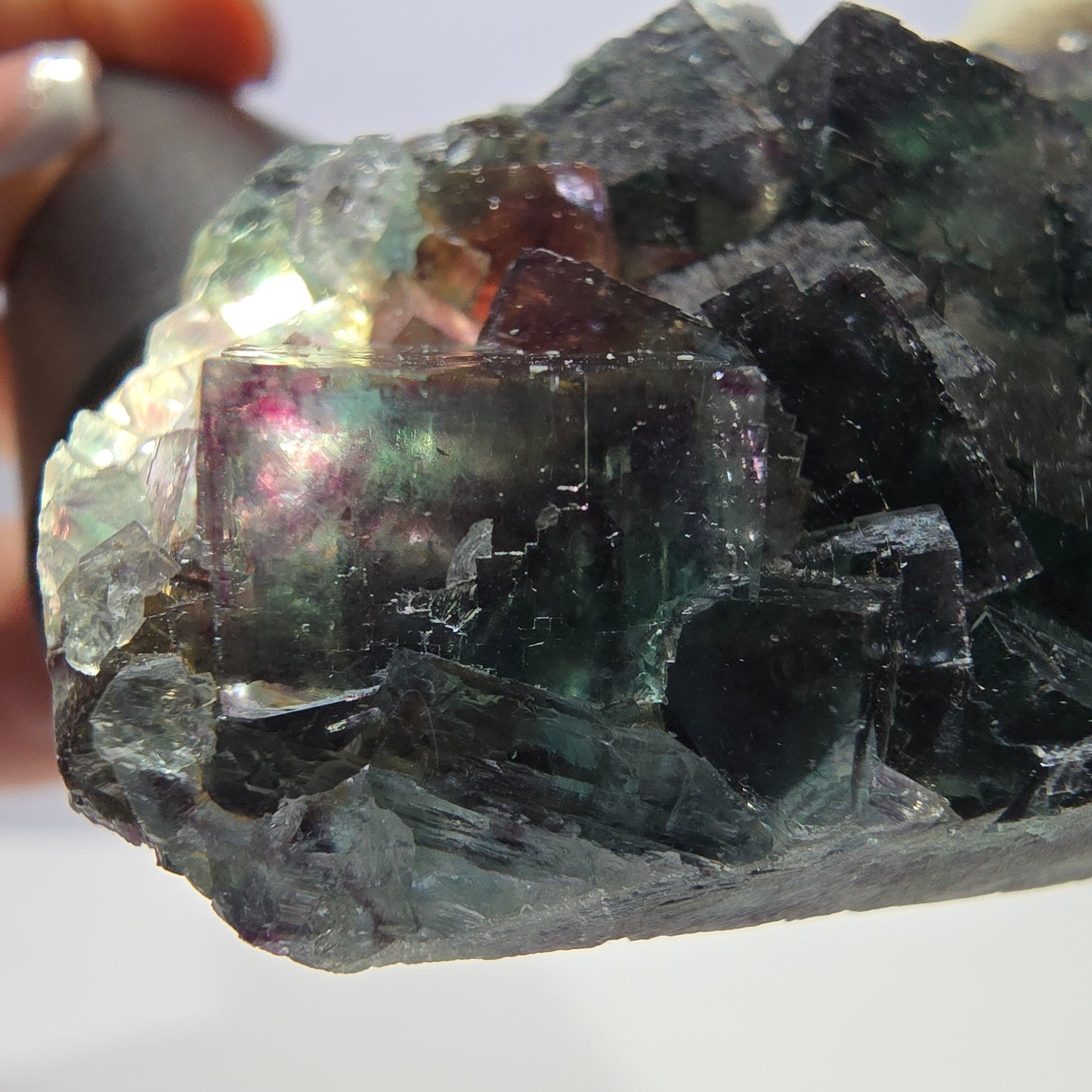 Rare spécimen de cube de fluorite fantôme, vert violet Okorusu Namibie 80*43*17 mm