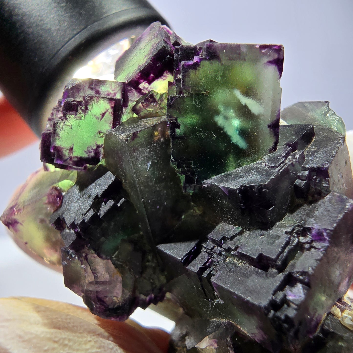 Spécimen de cube de fluorite fantôme, parqueté, zonal Okorusu, Namibie 54 x 39 x 38 mm