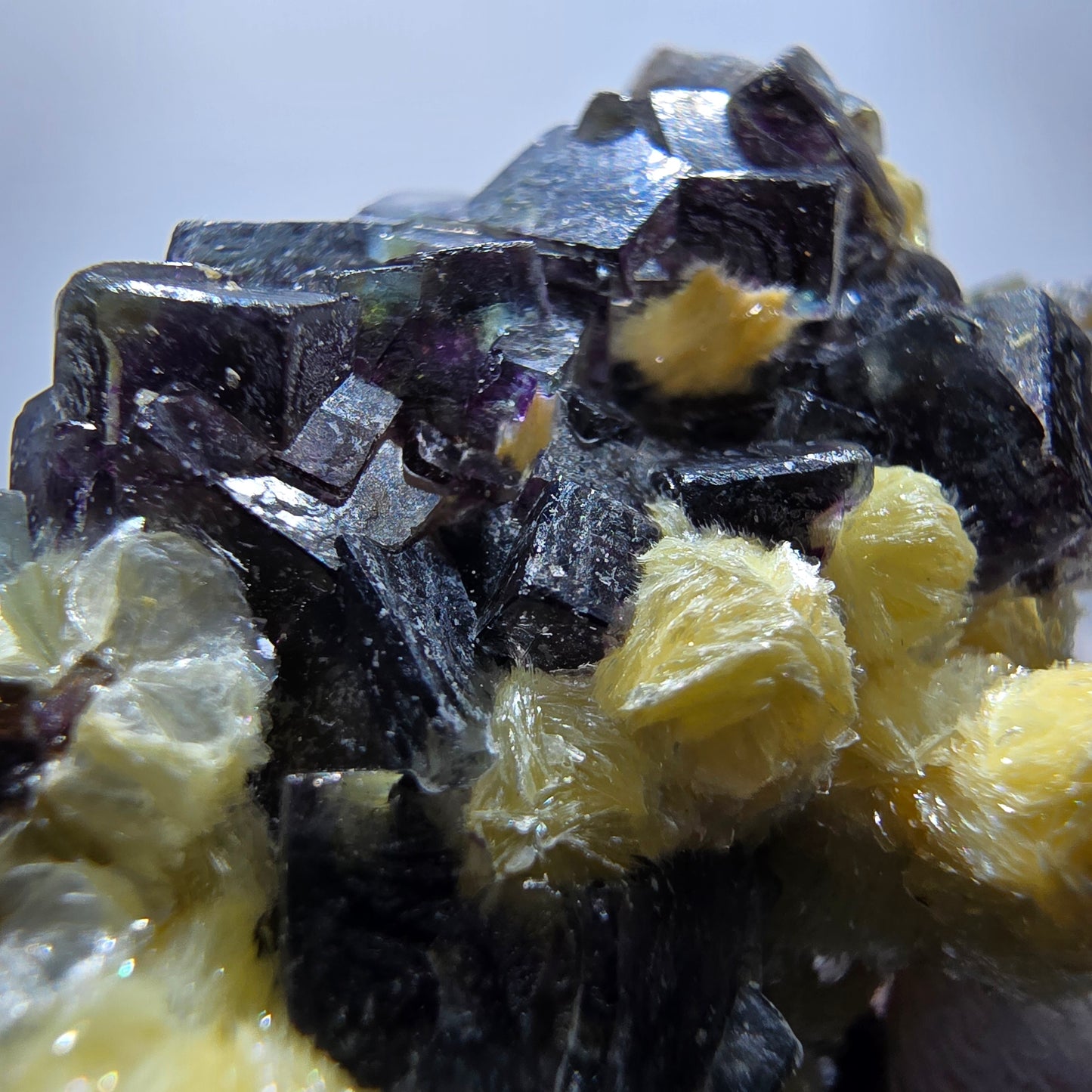 Cubes de fluorite fantôme colorés, hyalite, spécimen de muscovite, Erongo, Namibie, 42 x 39 x 28 mm
