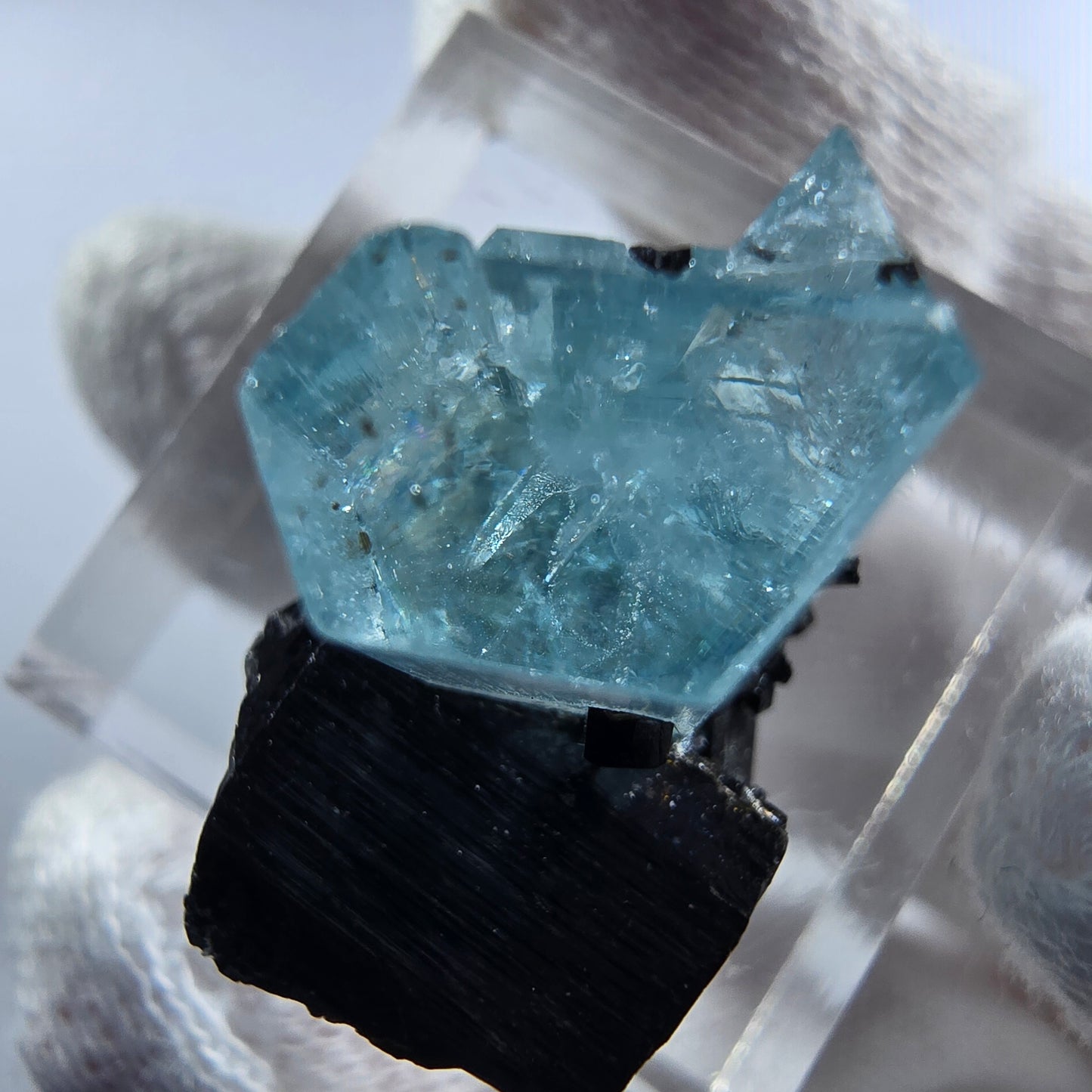 Aigue-marine Setlene, tourmaline Schörl stade Erongo, Namibie 19*21*14mm
