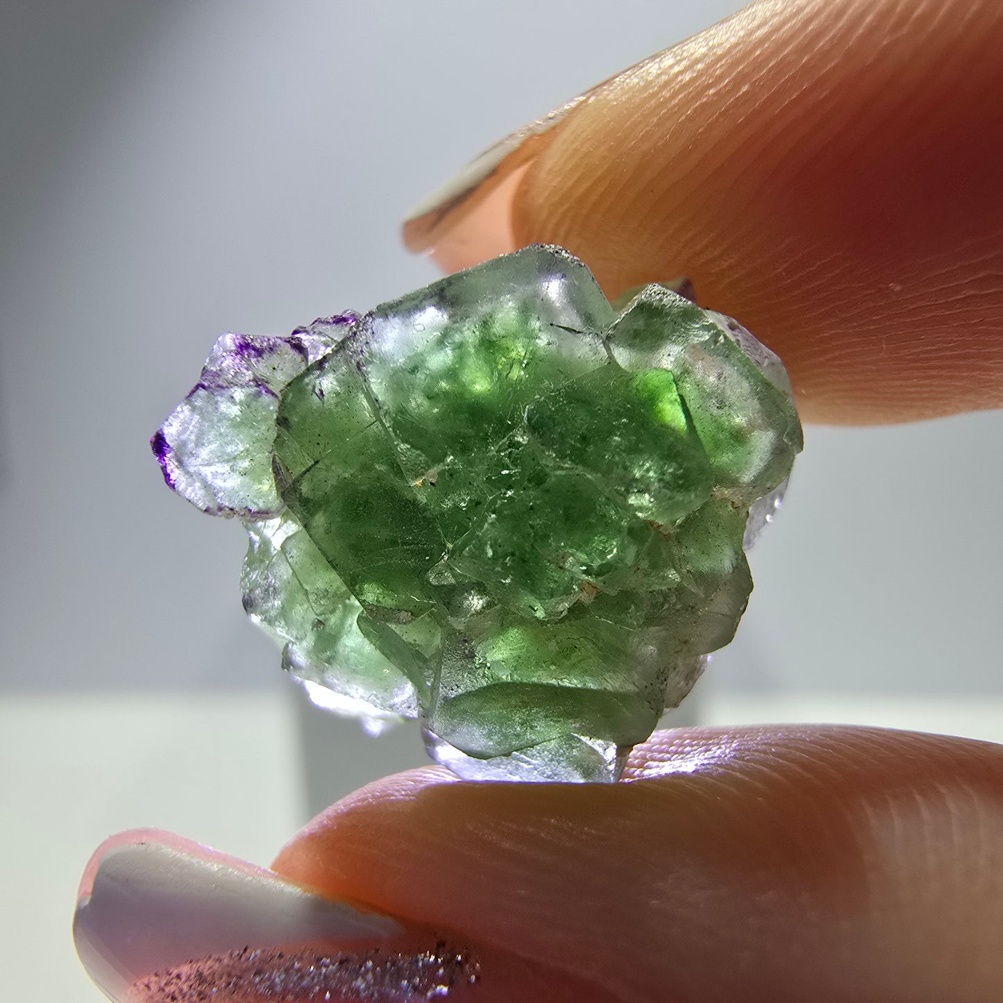 Lot de 16 fluorites fantômes, hyalites, tourmalines Schörl, muscovites, Erongo, Namibie