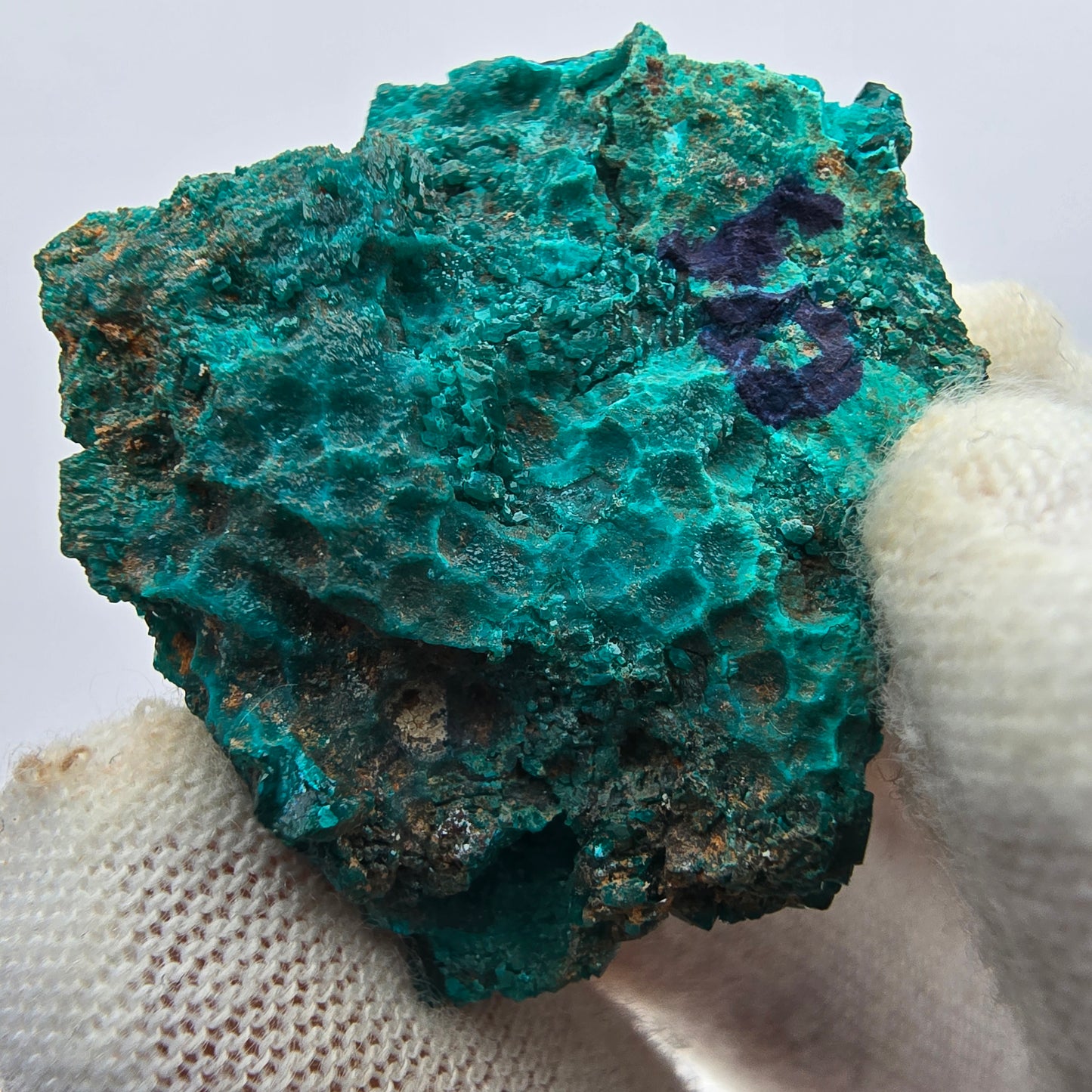 Seltene Diotas XX mit Azurit Stufe Kaokoveld, Namibia 33*30*8mm Sammlung