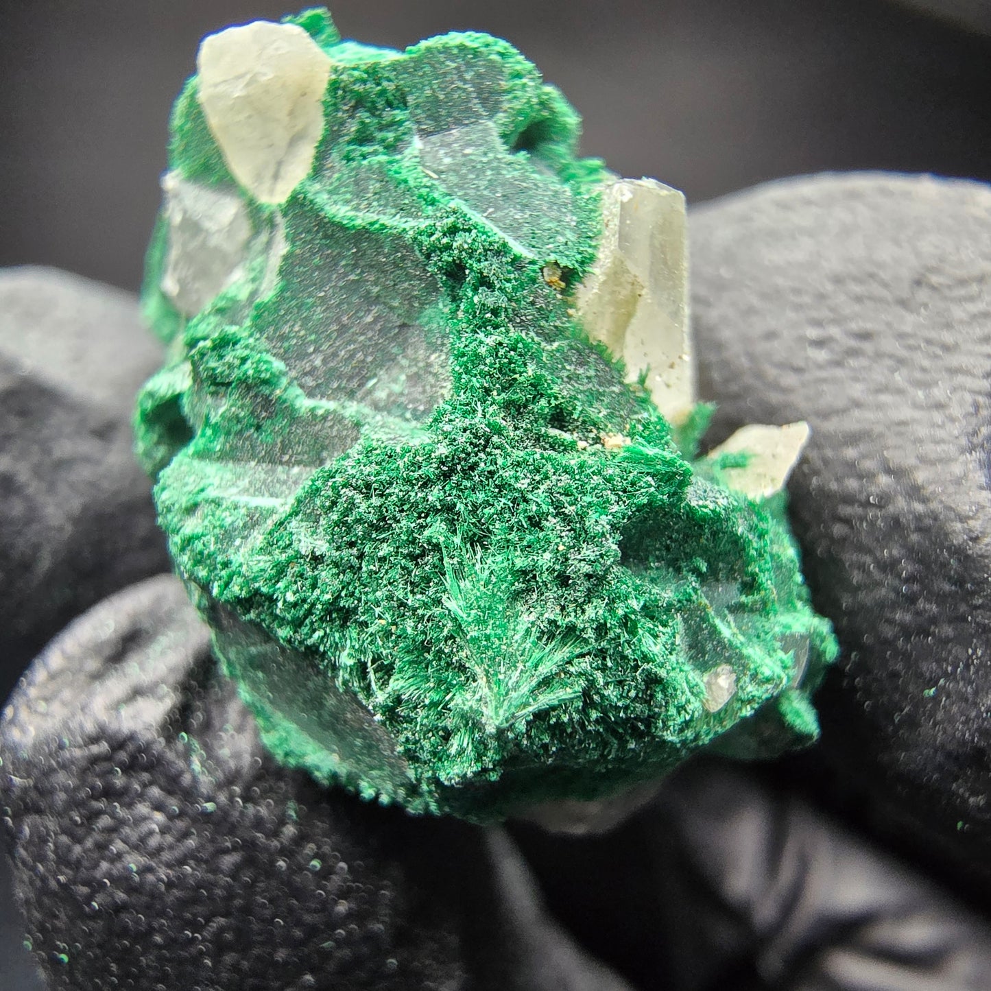 Seltene Malachit Stufe, grün Kaokoveld, Namibia 26*23*15mm Mineraliensammlung