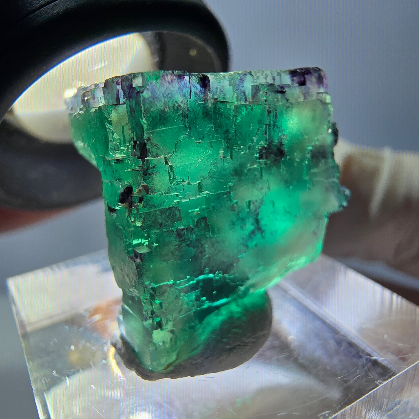 Phantom Fluorit Würfel Stufe, parkettiert grün lila Okorusu, Namibia 20*19*18mm