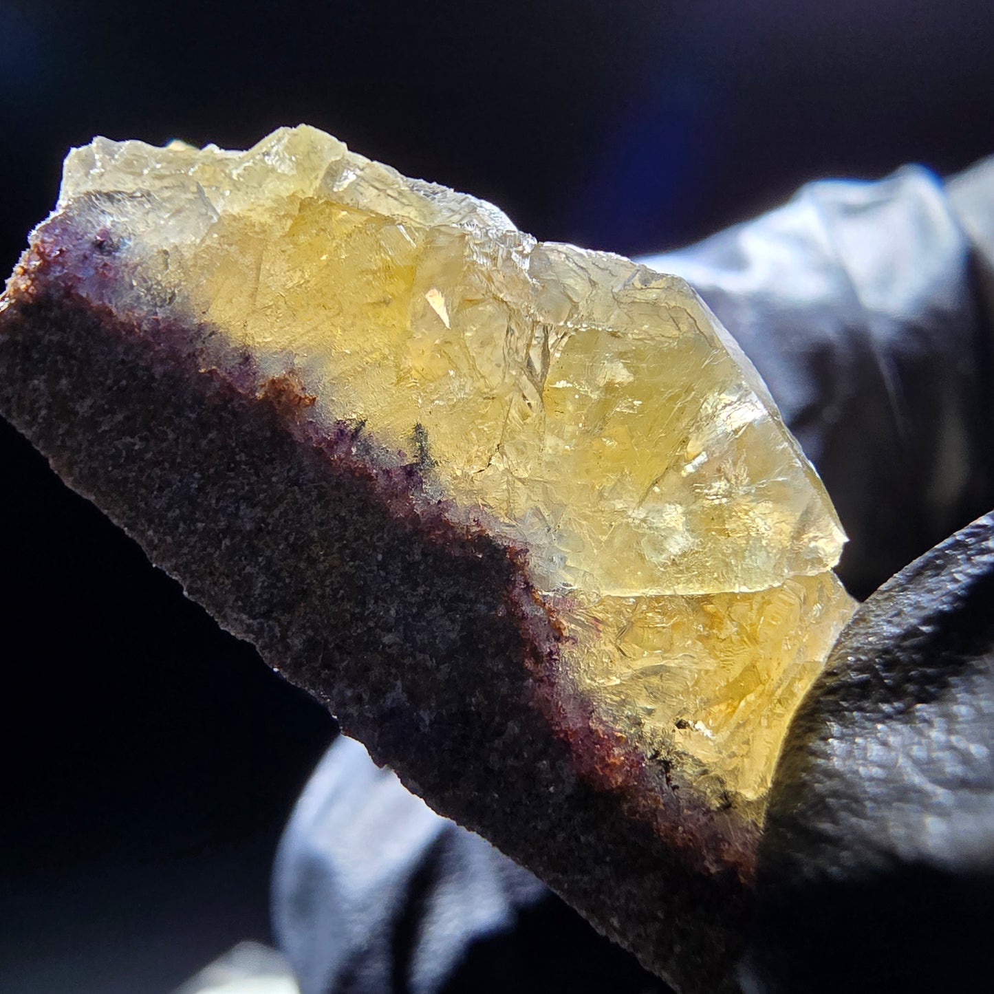 Honey Pocket Phantom Fluorite stage jaune violet Okorusu Namibie 49*27*11mm collection
