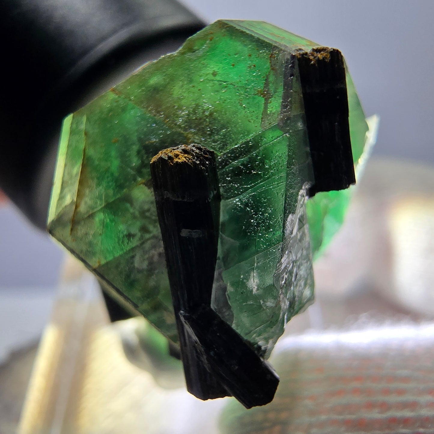 Spécimen de tourmaline Schorl hexagonale en fluorite fantôme, Erongo, Namibie, 23 x 22 x 22 mm