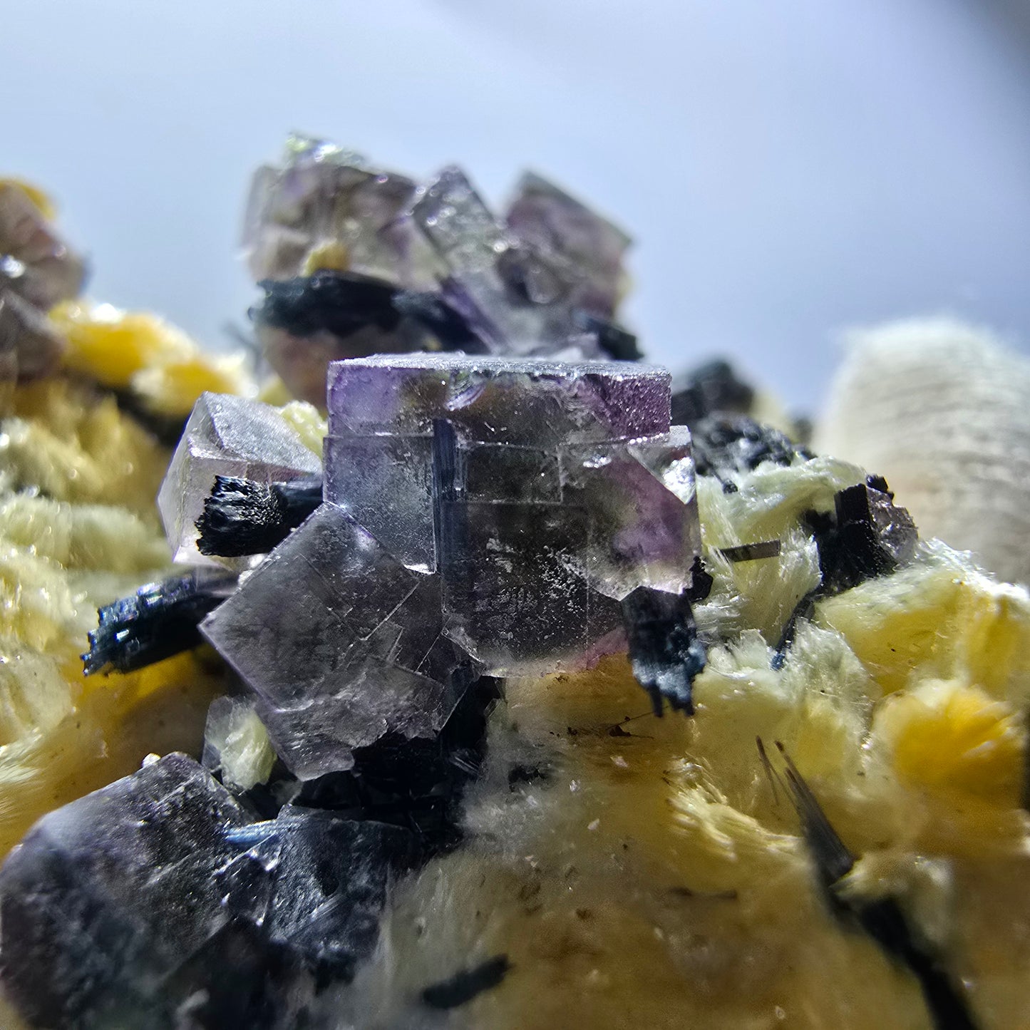 Cubes de fluorite fantôme colorés, tourmaline scholle muscovite, Erongo, Namibie, 61 x 60 x 29 mm