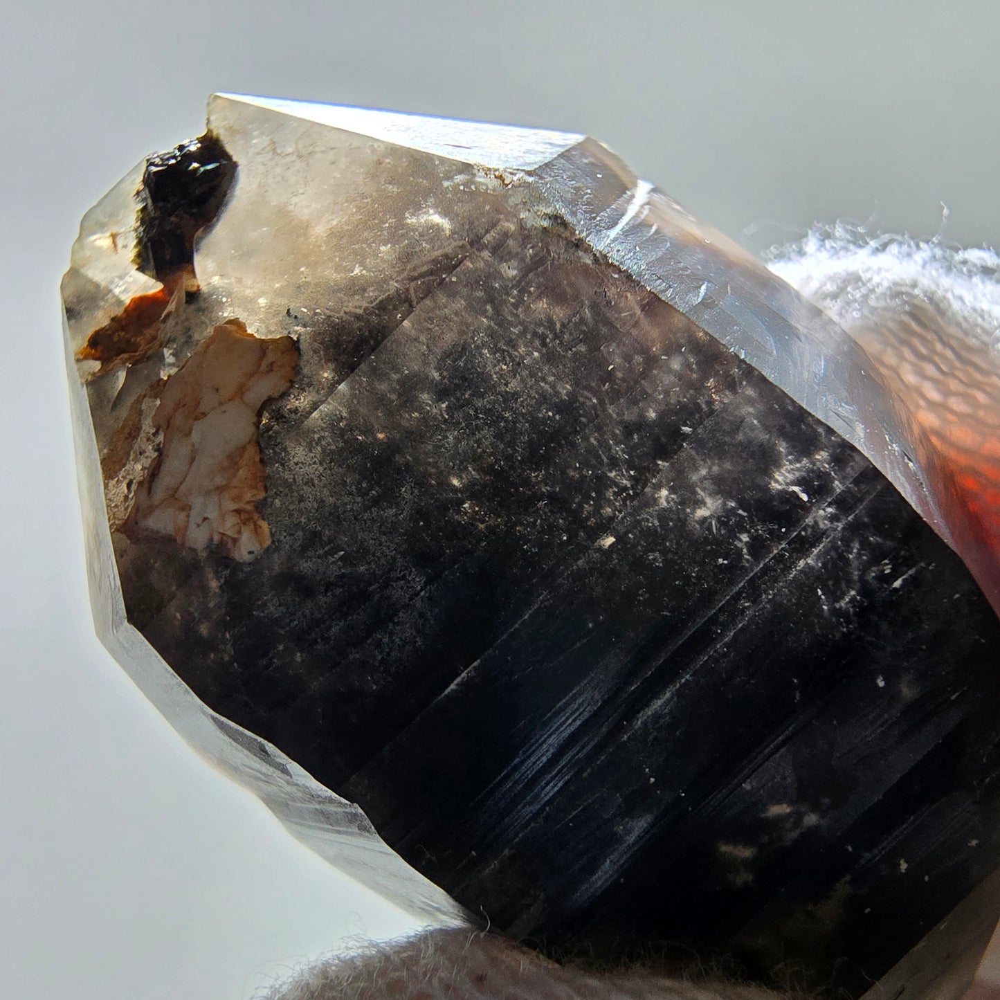 Skeleton Phantom Smoky Quartz DT Scepter Valentine Pocket, Namibia 50*29*20mm