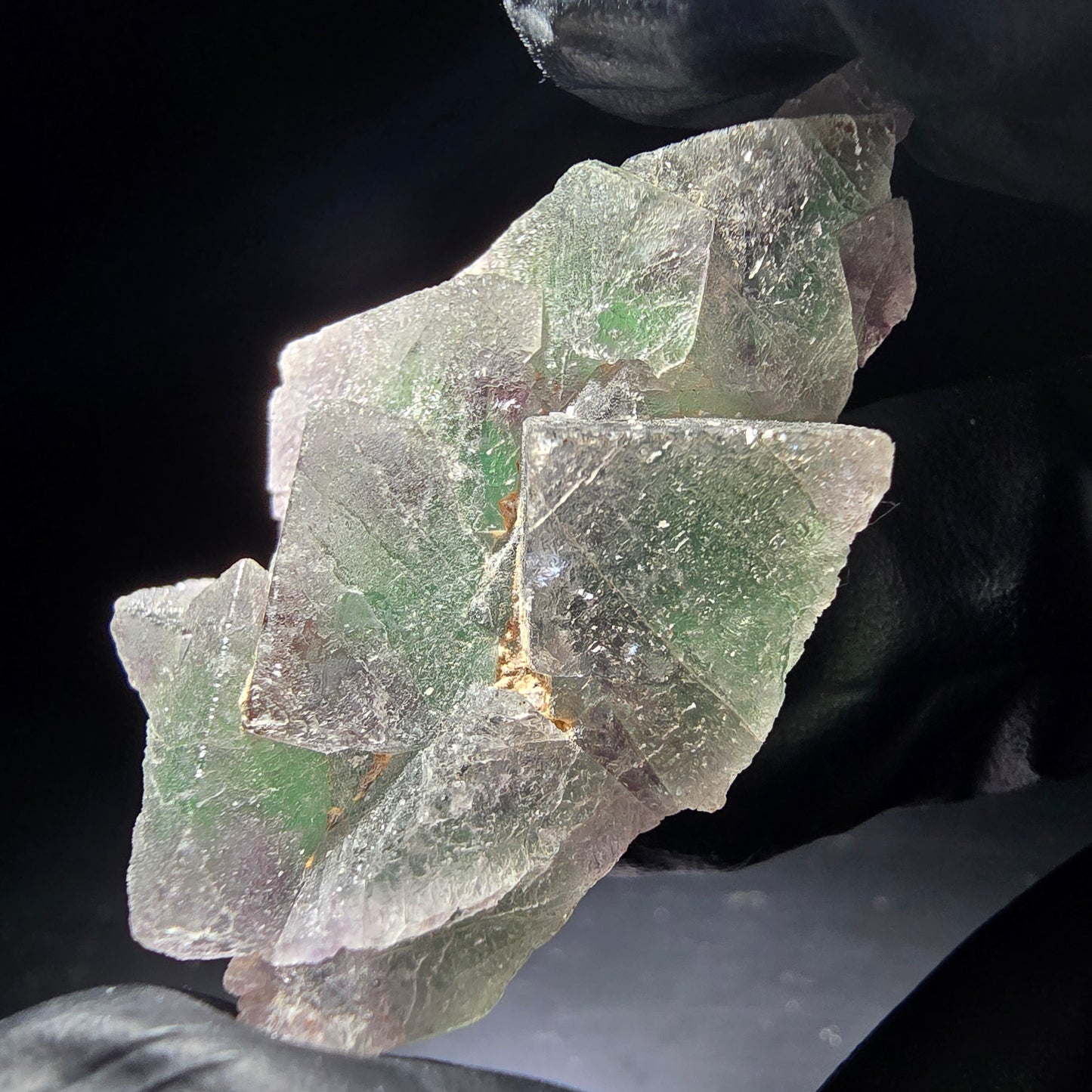 Phantom Fluorite Cube Tier Vert Violet Okorusu, Namibie 46*29*12mm Collection