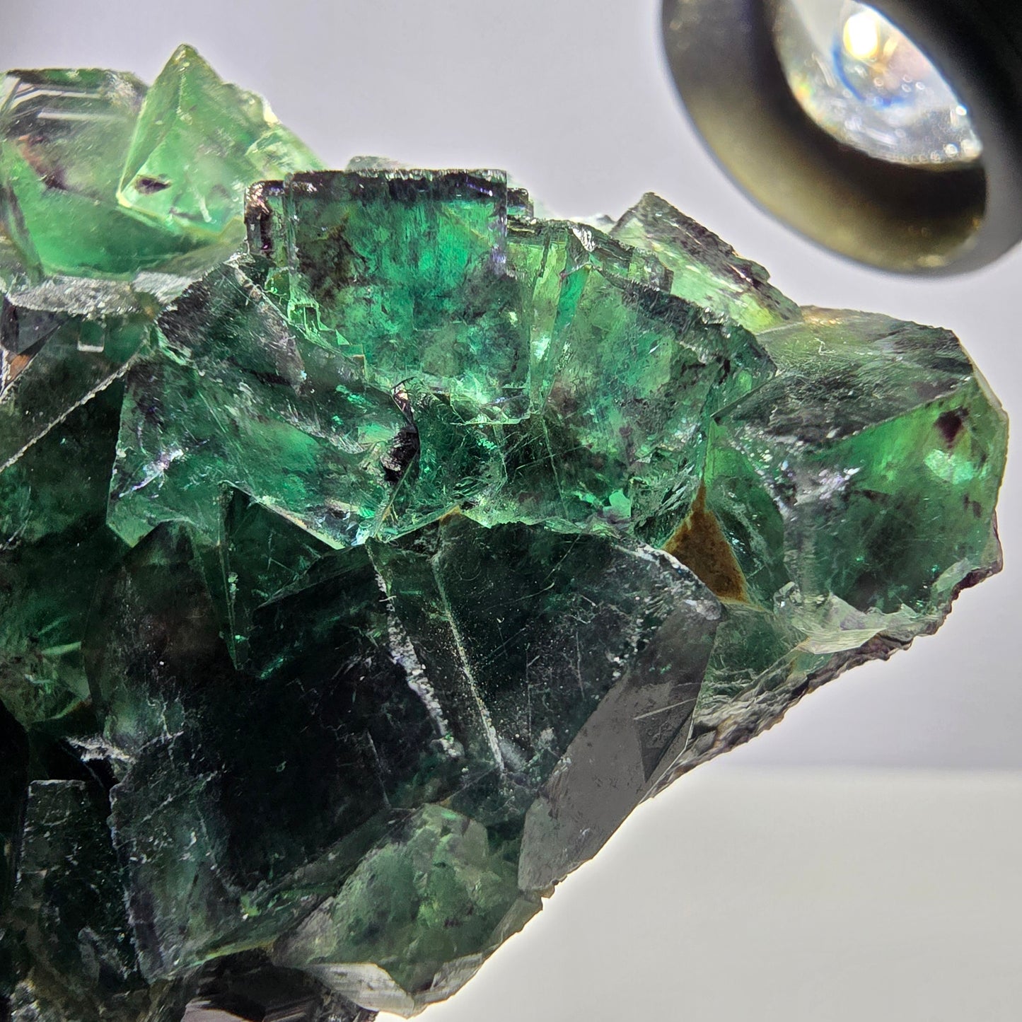 Spécimen de cube de fluorite fantôme parqueté vert violet Okorusu Namibie 79*44*19mm