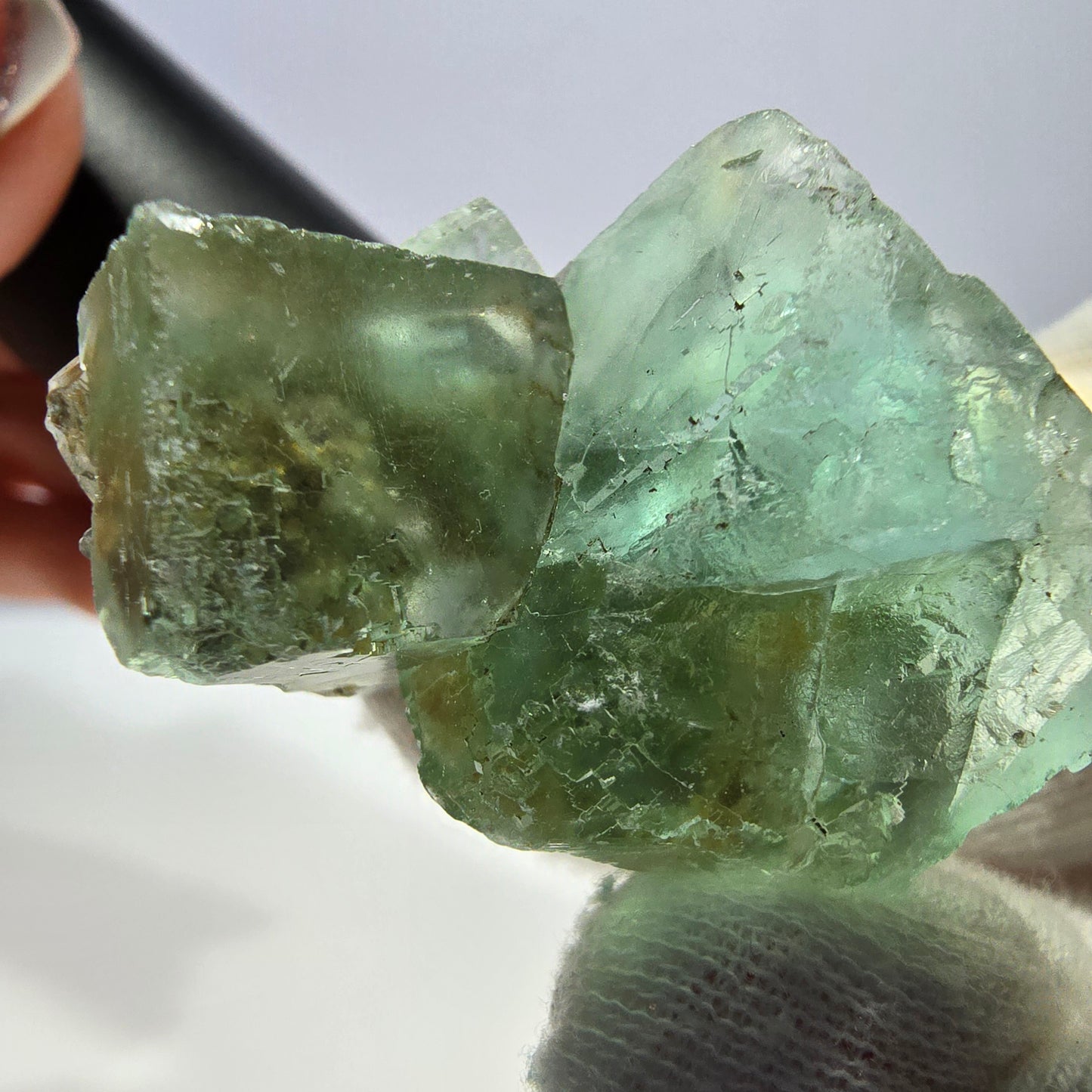 Rare spécimen de cube de fluorite fantôme, parqueté vert Okorusu, Namibie, 45 x 29 x 23 mm