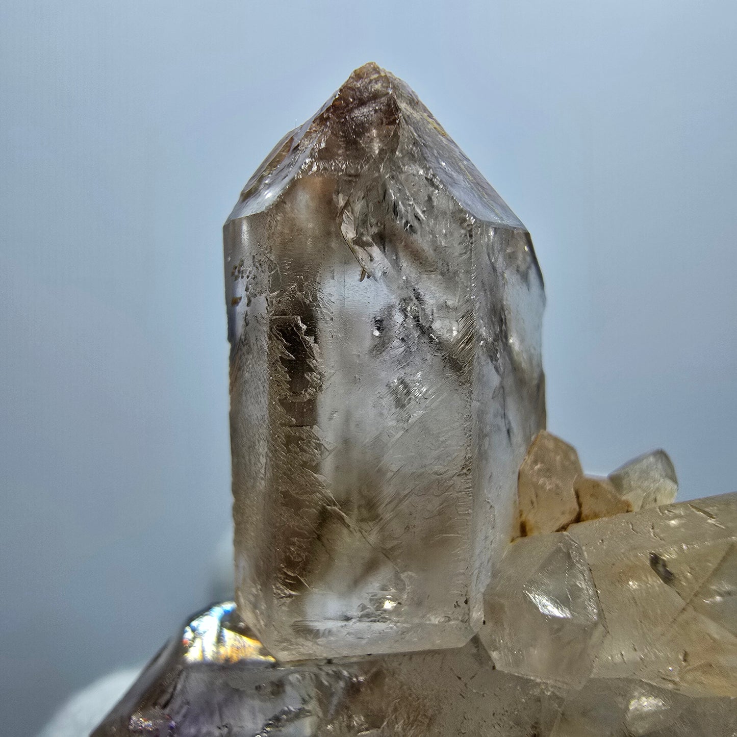 Amas de quartz fumé Harlequin Enhydro, 1x Bubble Goboboseb, Namibie 37 x 34 x 18 mm