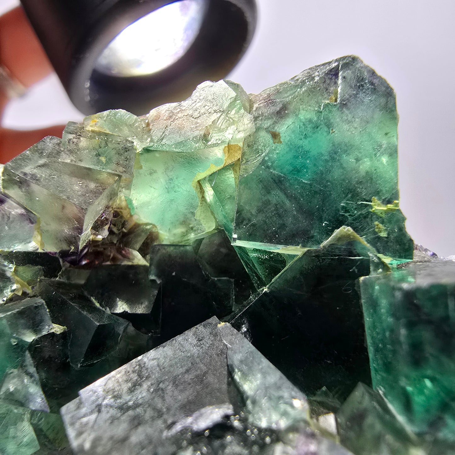 Spécimen de cube de fluorite fantôme parqueté vert violet Okorusu, Namibie 55*48*39mm