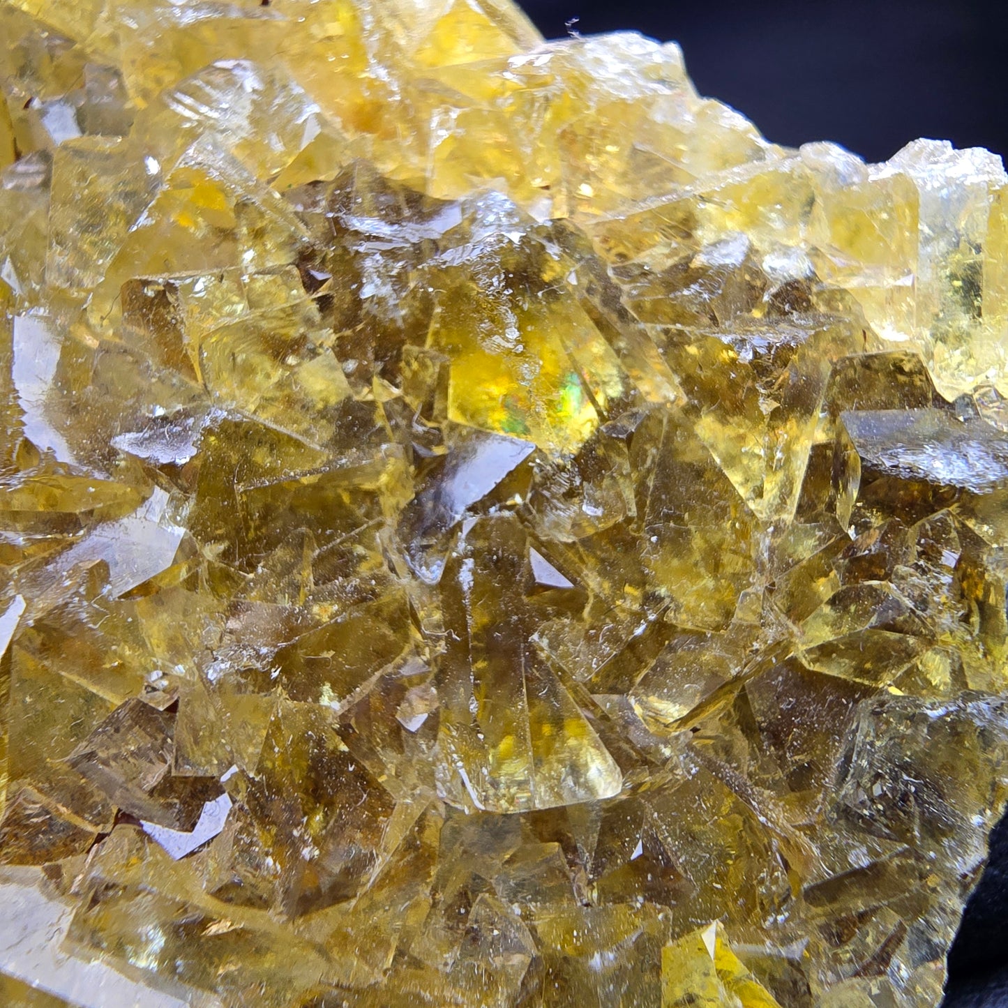 Klare Honey Pocket Fluorit Würfel Stufe gelb Okorusu Namibia 56*50*10mm Sammlung