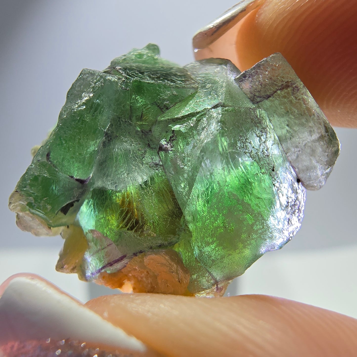 Lot de 16 Fluorite Fantôme, Hyalite Tourmaline Schörl Moscovite Steps Erongo, Namibie