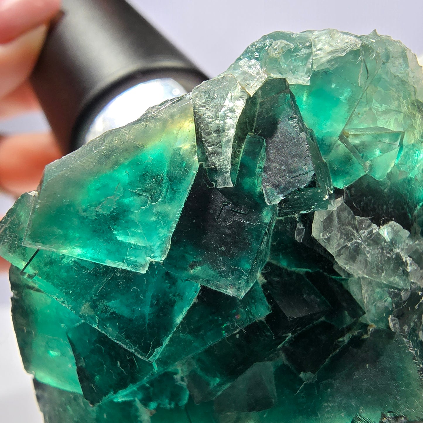 Rare spécimen de cube de fluorite fantôme, parqueté vert Okorusu, Namibie, 60 x 46 x 30 mm