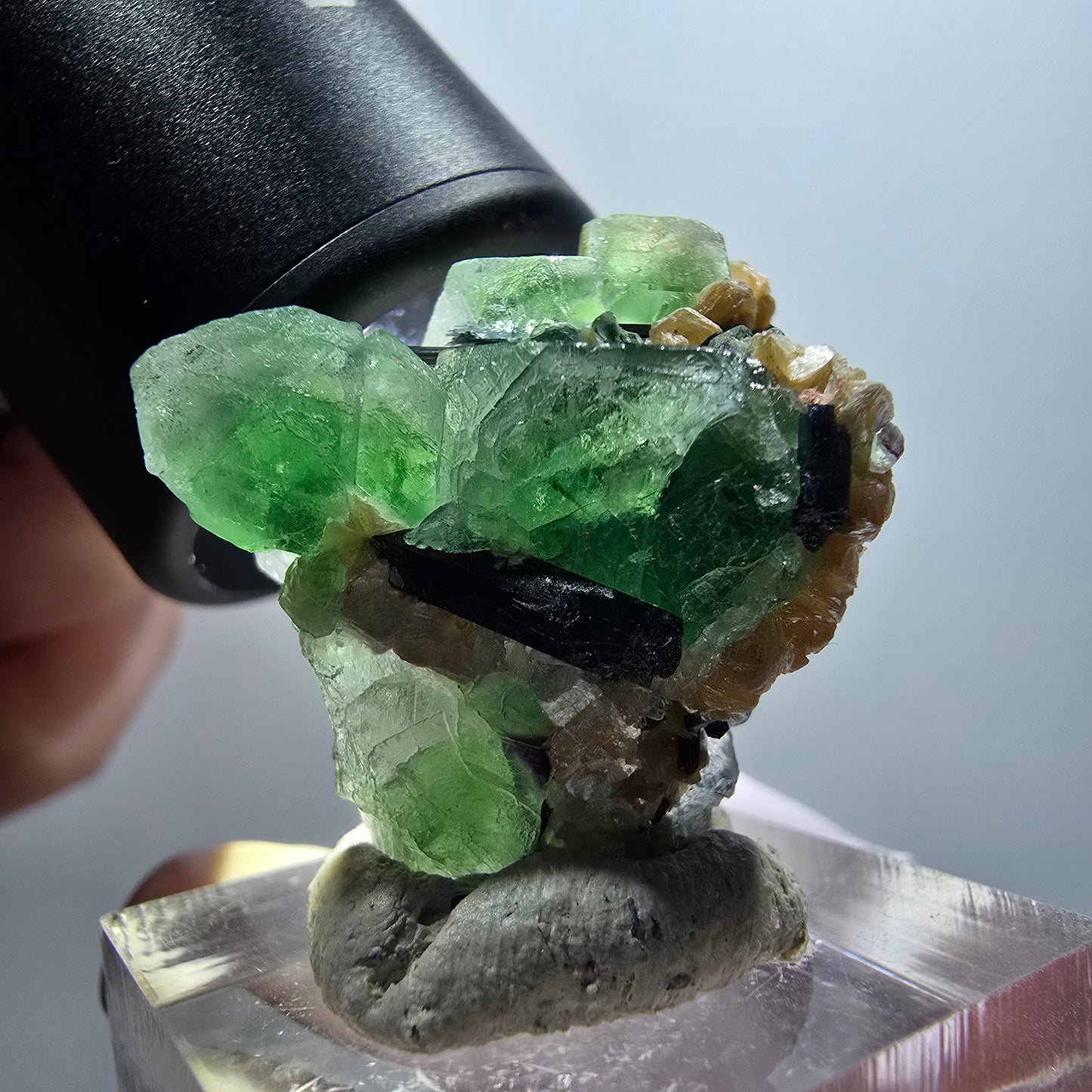 Fluorite fantôme, Tourmaline Schörl, Stade muscovite Erongo, Namibie 29*27*21mm #12000
