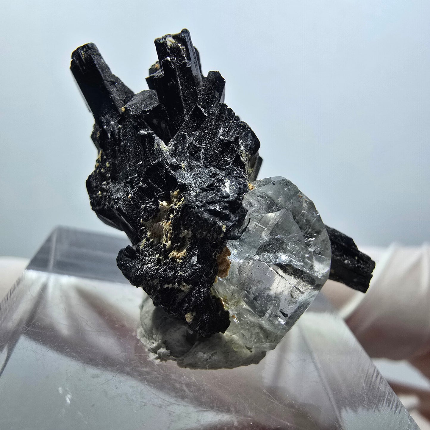 Spécimen rare de tourmaline schorl, quartz (?) Erongo, Namibie 29*15*10mm #12069