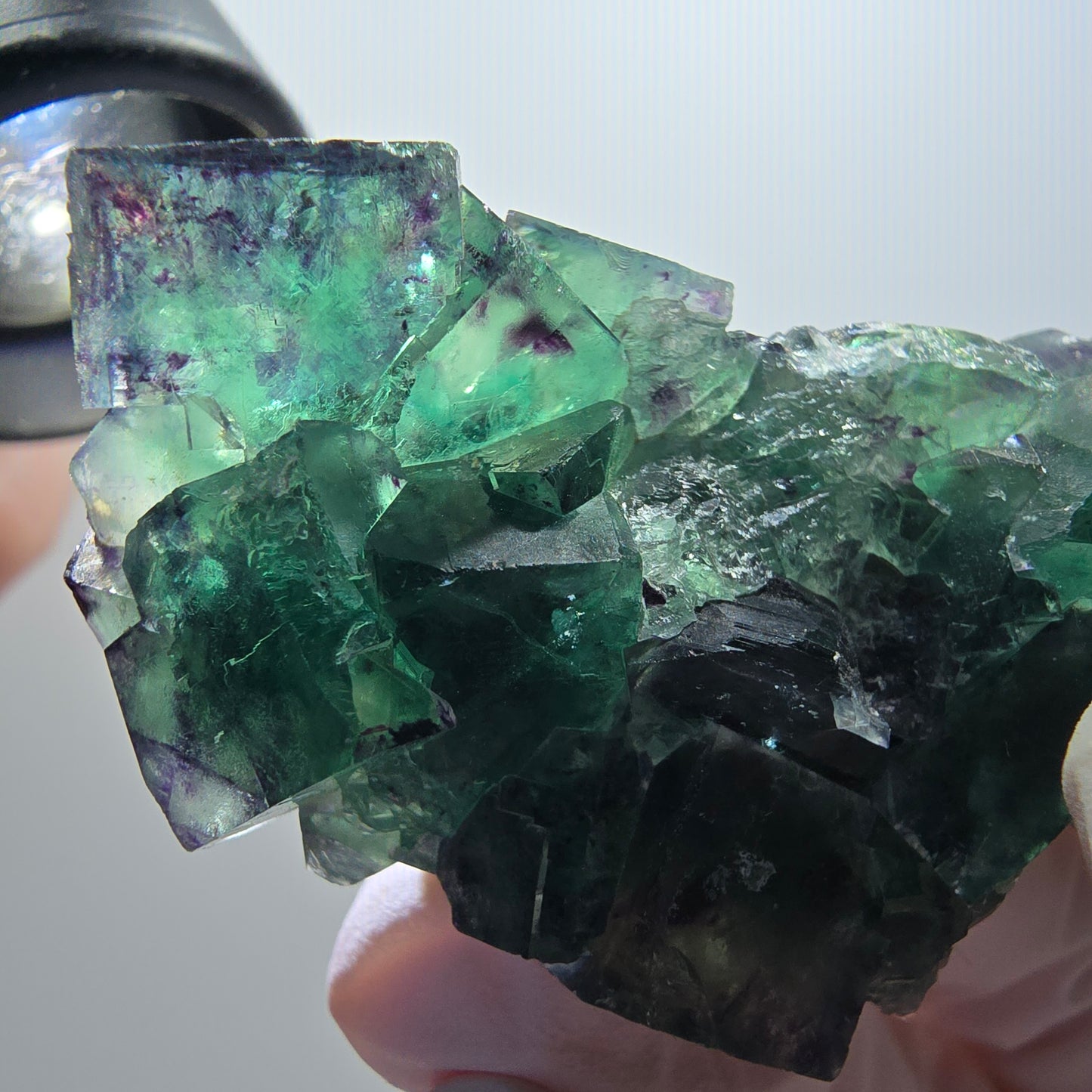 Rare spécimen de cube de fluorite fantôme, vert-violet, Okorusu, Namibie, 57*36*30 mm #12106