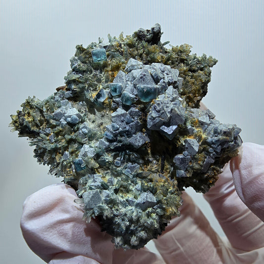 Spécimen rare de fluorite fantôme et de tourmaline schorl, Erongo, Namibie, 51*51*26 mm, n° 12119