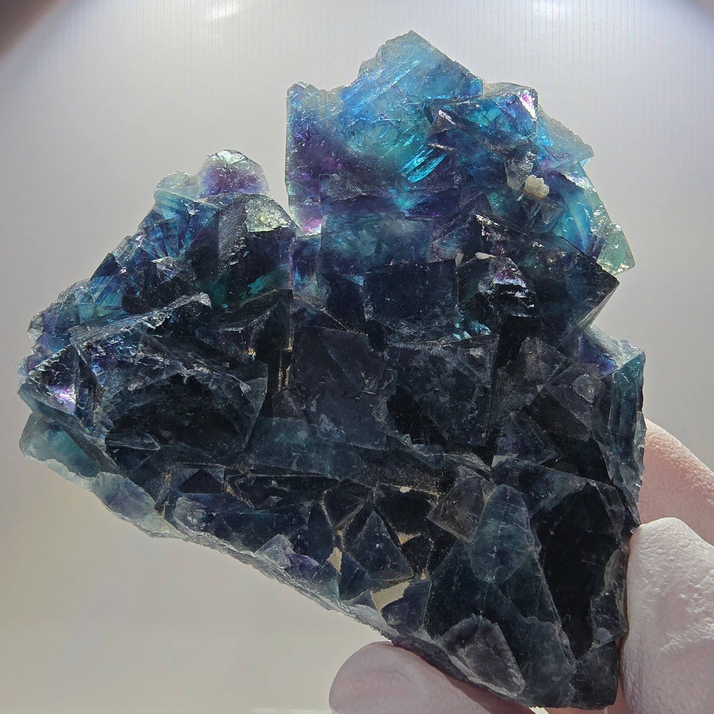 Spécimen cubique de fluorite fantôme, poche papillon bleue, Okorusu, Namibie 67*61*20 mm