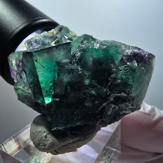 Seltene Phantom Fluorit Würfel Stufe, grün lila Okorusu, Namibia 48*35*18mm #12211