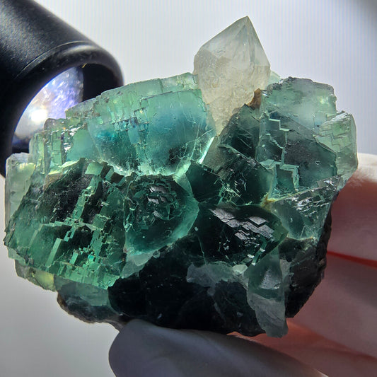 Phantom Fluorit Würfel, Quarz Stufe, parkettiert Okorusu, Namibia 53*46*34mm #12221