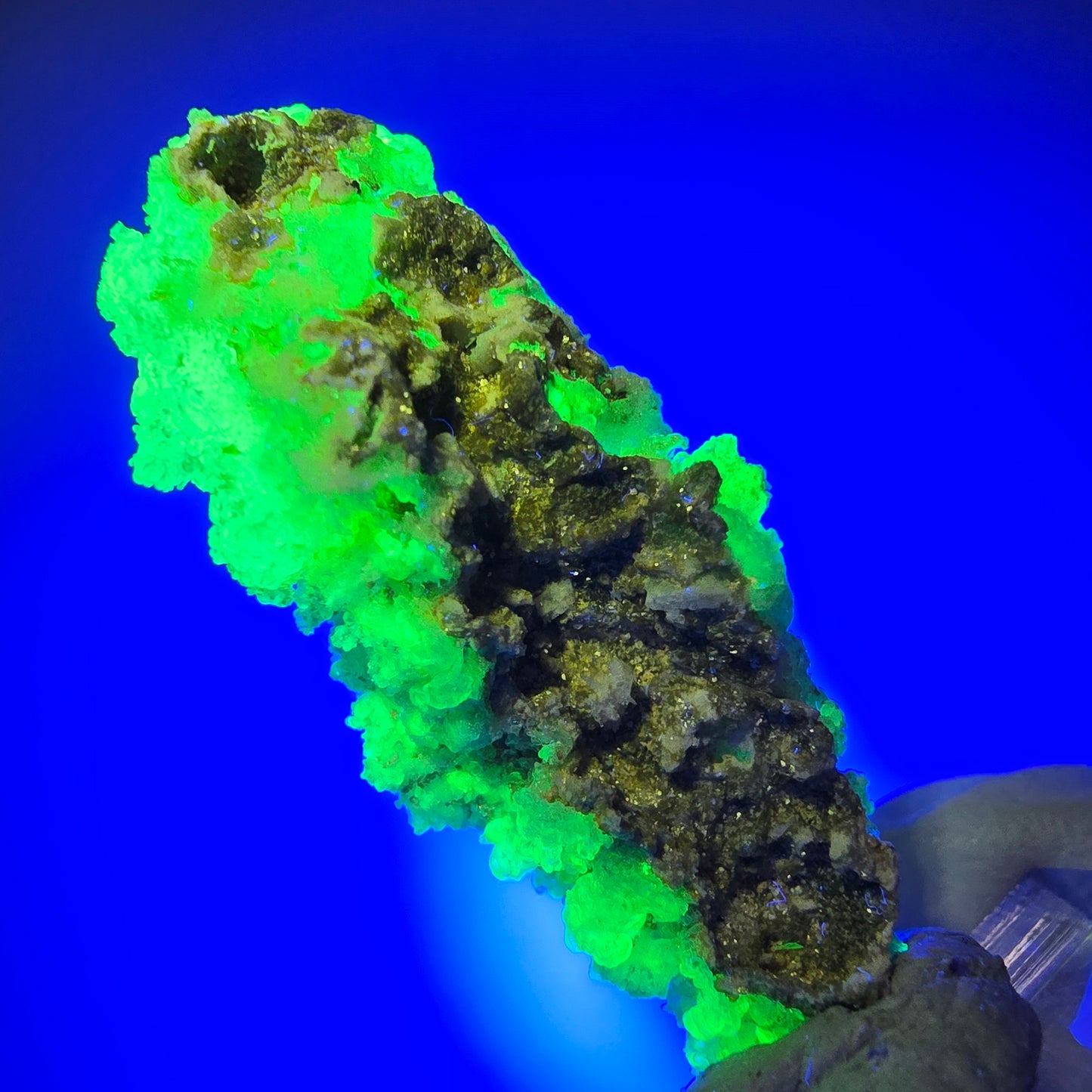 Opale hyalite rare, spécimen de muscovite (minéral UV) Erongo, Namibie 49*20*16mm #12269