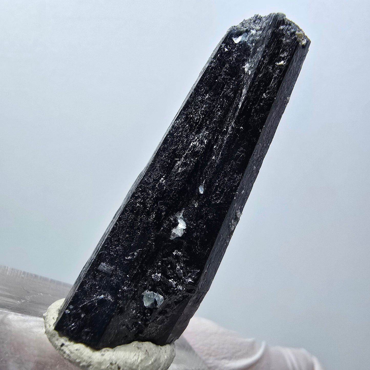 Spécimen rare de tourmaline schorl et de fluorite, Erongo, Namibie, 40 x 13 x 10 mm, n° 12285