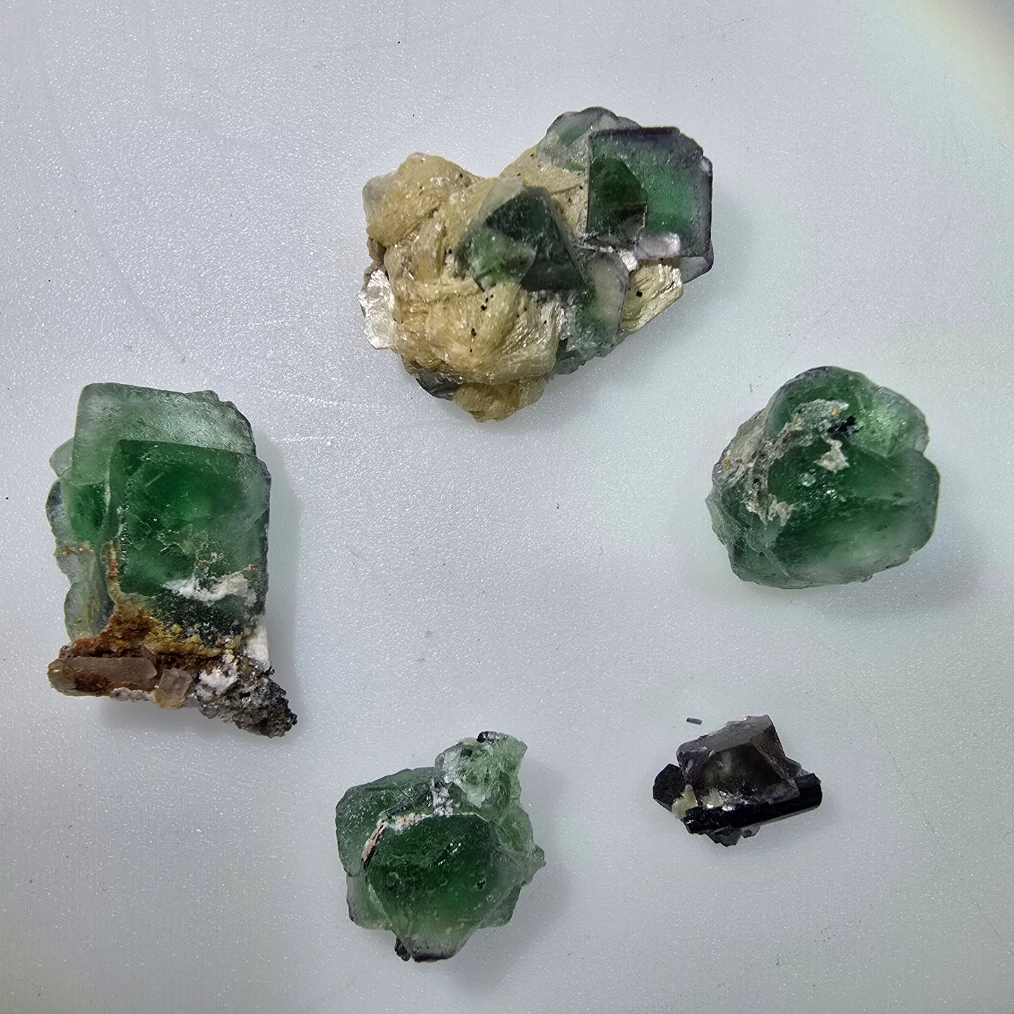 Lot of 5 Phantom Fluorite, Muscovite, Schörl Tourmaline Erongo, Namibia 10-25mm #12321