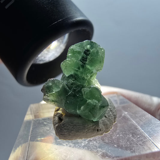 Seltene Phantom Fluorit, Schörl Turmalin Stufe Erongo, Namibia 16*12*9mm #12330